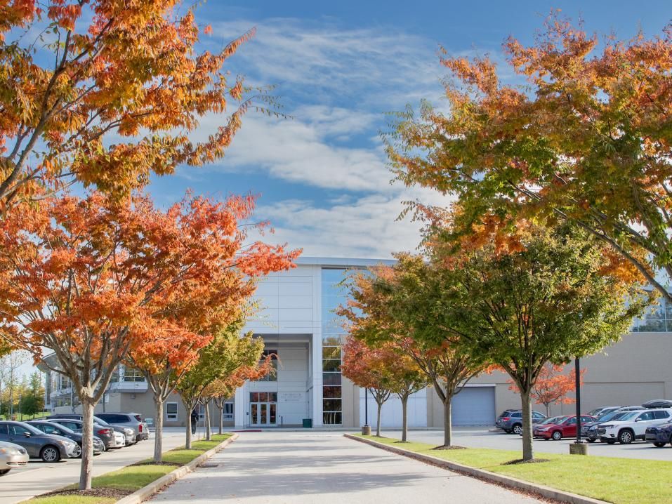 Trees with orange and red foliage line the sidewalk leading up to the Grumbacher Center.