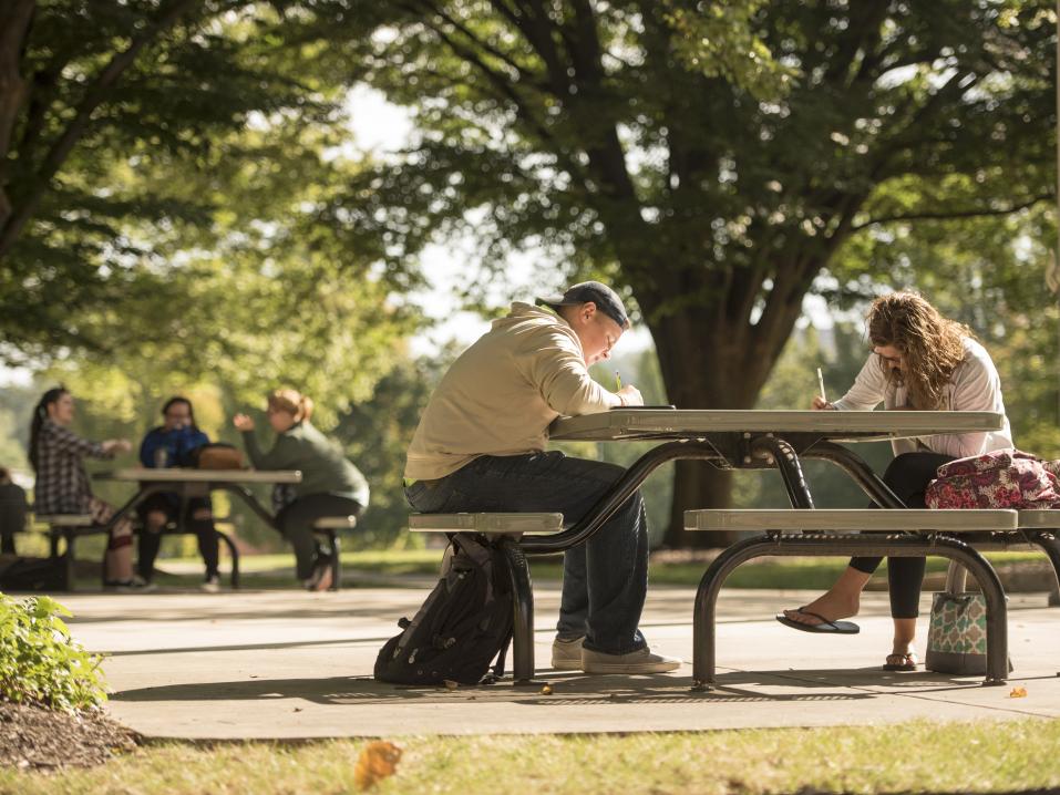 Students sit in the quad while working on class assignments 