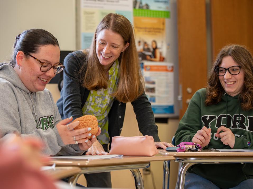 A psychology professor and two students examining a model of a brain.