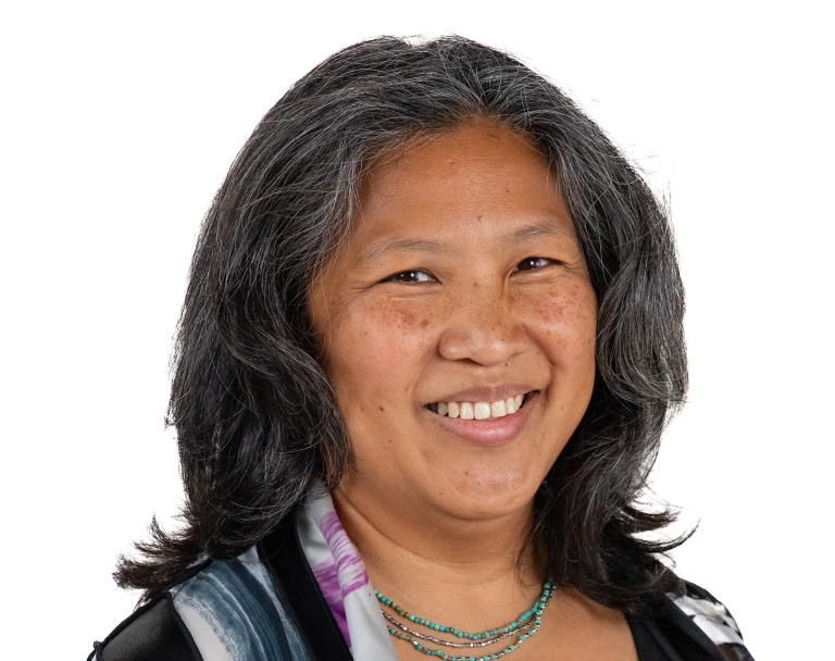 Meda Higa