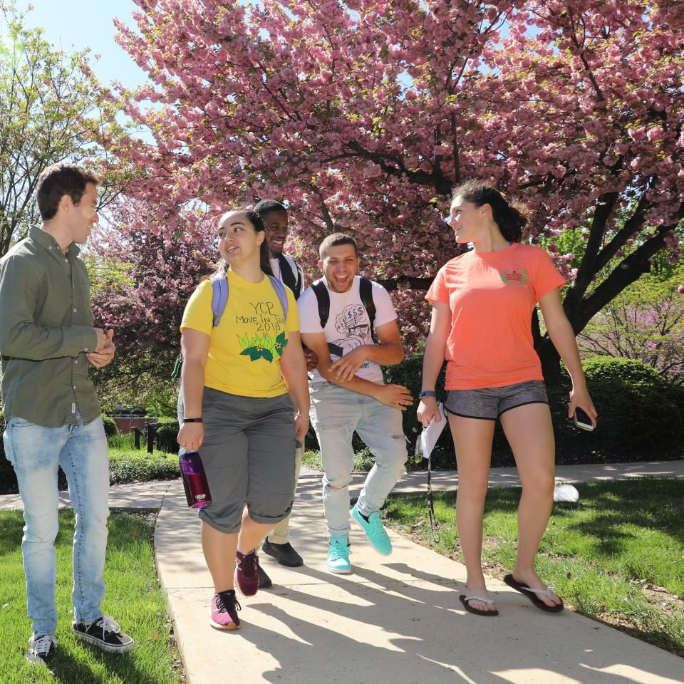 Four students walk around campus in the spring
