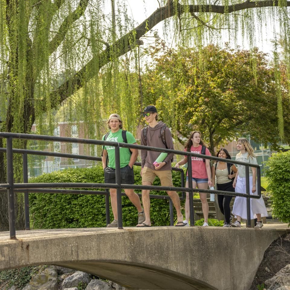 A group of students walks across the bridge