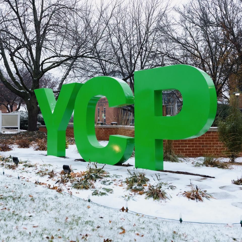 The YCP Letters in the snow