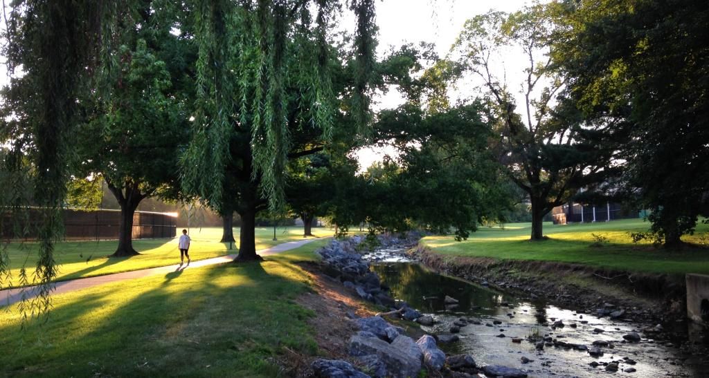 A rock-lined creek surrounded by green grass and large trees.