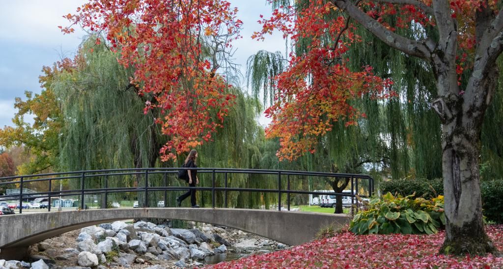 A footbridge crosses the Tyler Run Creek. Trees surrounding the area are red with fall foliage.