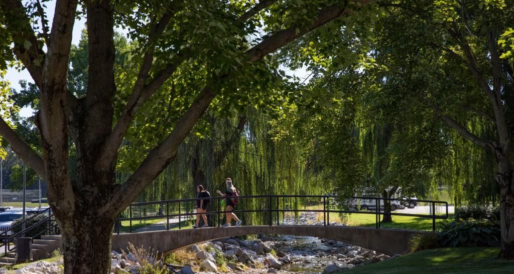 Students walking over the creek footbridge to class.