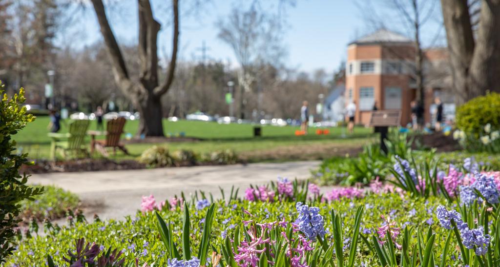 Colorful flowers fill campus flower beds; Wolf Hall's brick facade is visible in the background.