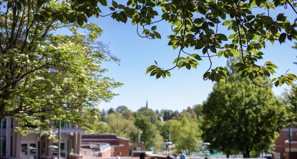 looking at the Waldner Performing Arts Center through the trees.