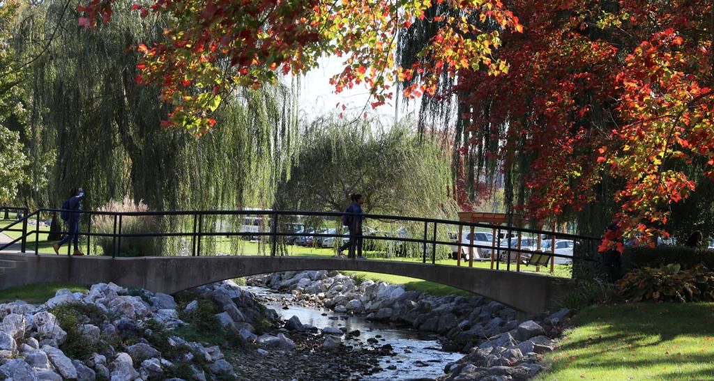 A rock-lined creek surrounded by green grass and large trees.