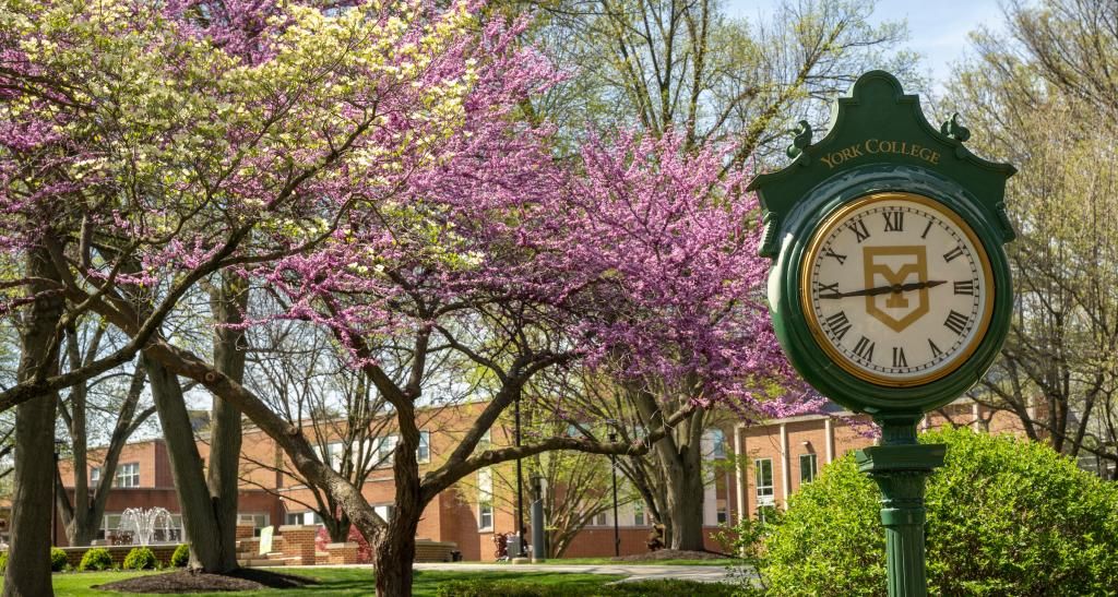 Outside photograph of a green clock on a pole with roman numerals for numbers