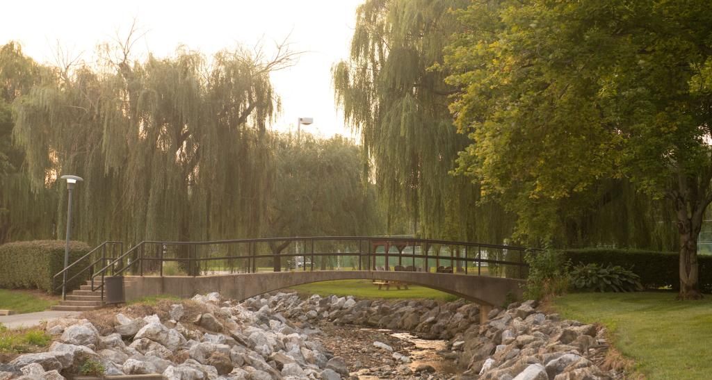 A photo fo the creek and bridge on campus with trees in the background.