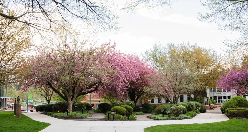 Outside photograph of the the campus walkway leading to the student union building.