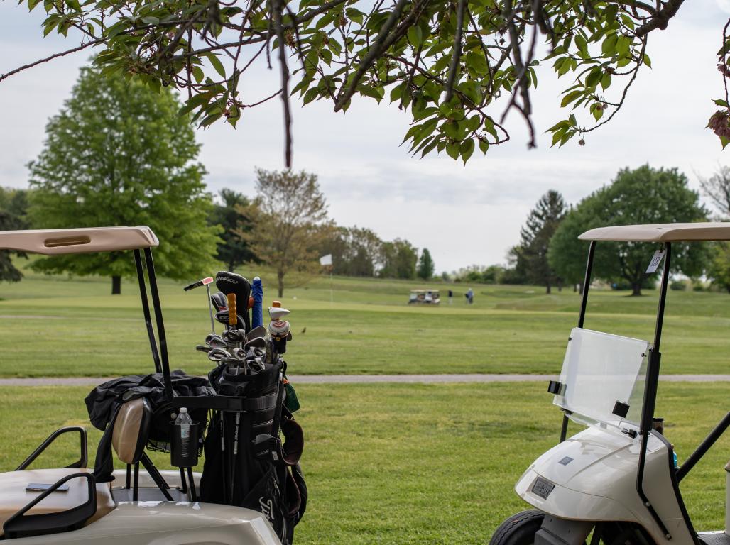 Picture of 2 golf carts