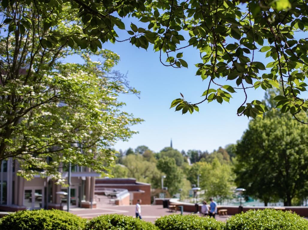 Trees in focus, WPAC in the background.