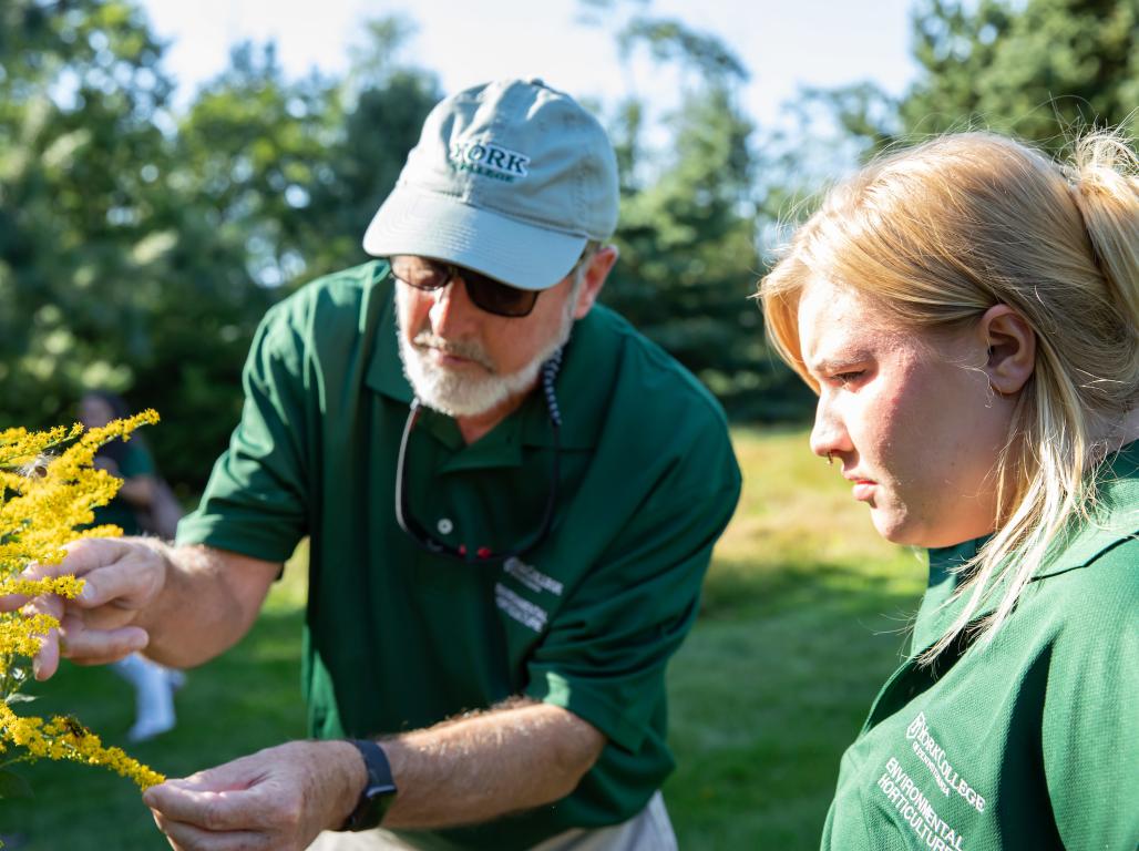 A professor holds the leaves of a plant, pointing out features as a student looks on.