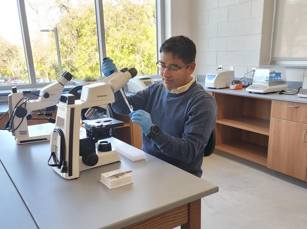 Tej Man Tamang is running an experiment on genetically modified plants