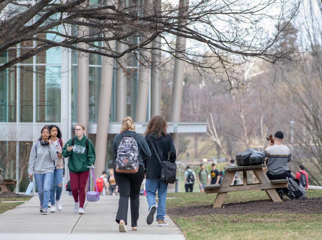 Students walk across the campus sidewalk between classes.