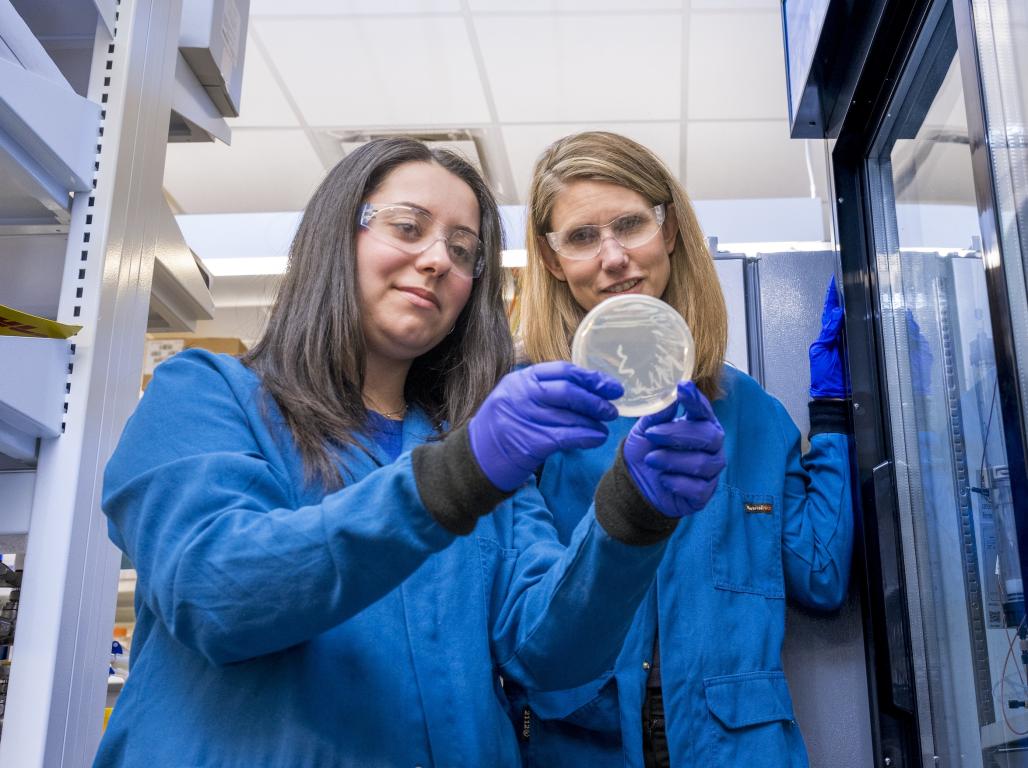 Marina Vasconcelos (left) is pictured working with University of Delaware professor Dr. Catherine Grimes (right) in February. Photo Courtesy: Kathy Atkinson/University of Delaware