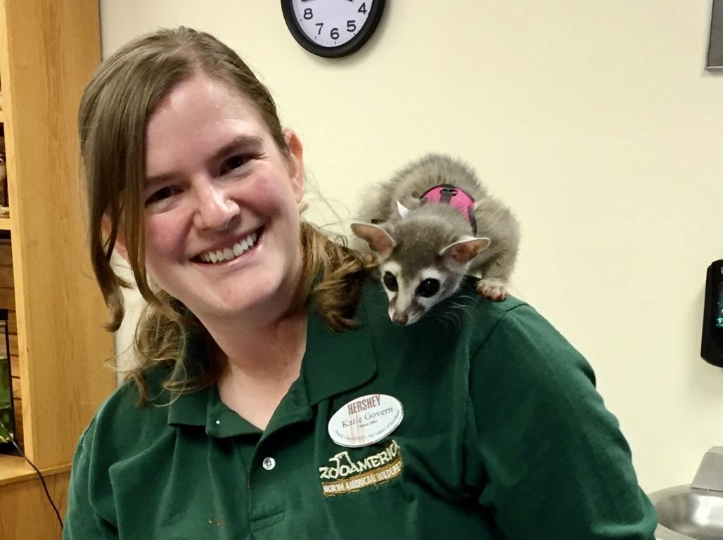 Biology alum poses with a lemur on their shoulder in a work environment.