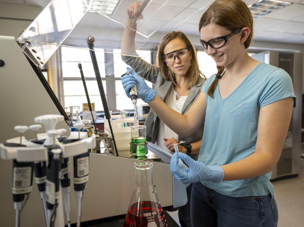 Student and mentor working in a chemistry lab, both wearing protective glasses.