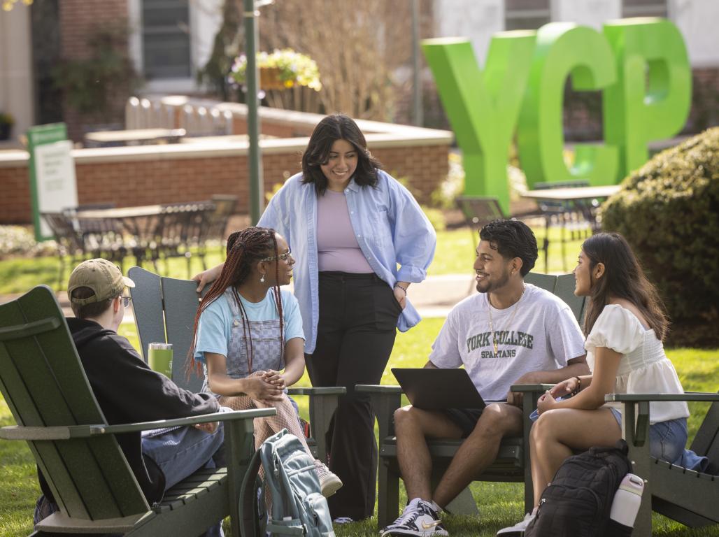 A group of five students studying together on the main lawn with the YCP letters behind them