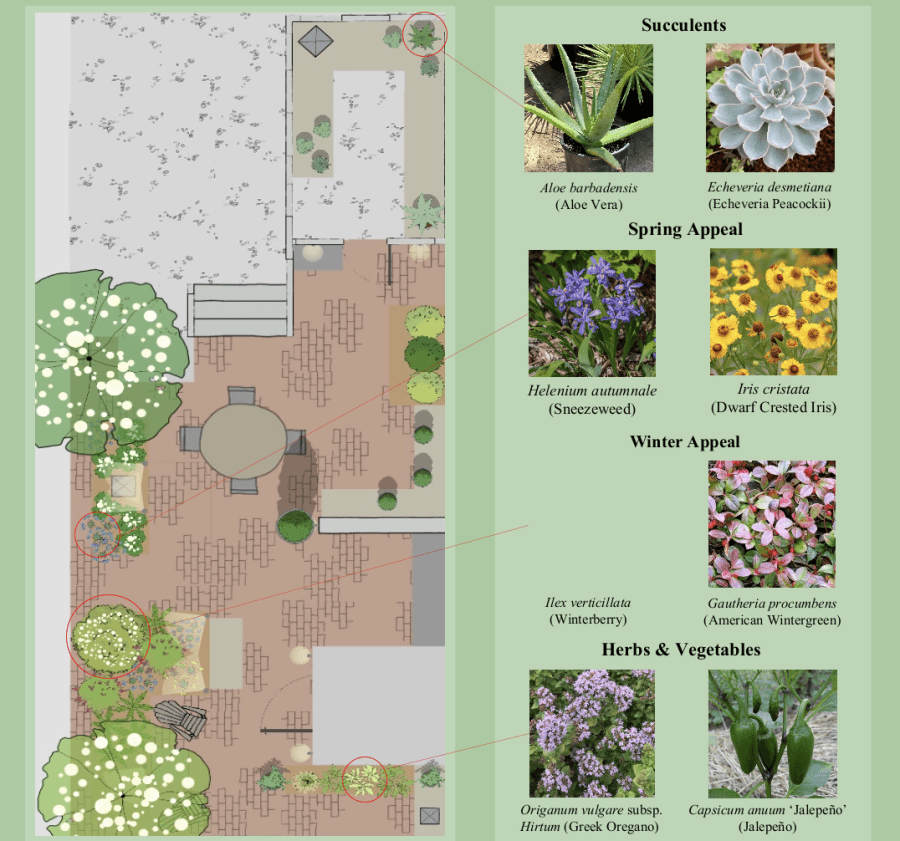 Student rooftop garden design showing a garden layout with labeled plant selections including succulents, spring plants, winter plants, herbs, and vegetables.