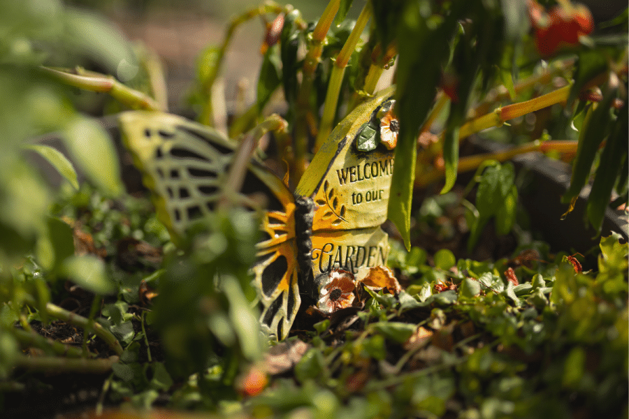 A butterfly ornament that says "welcome to our garden" is placed in a garden bed