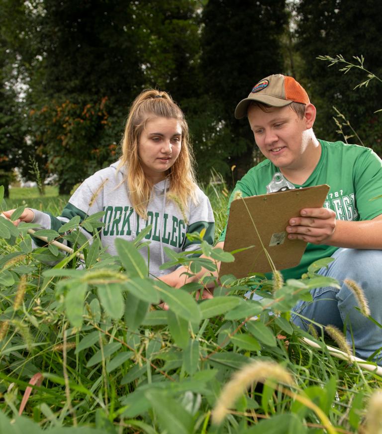 Two students in the bushes studying plants.