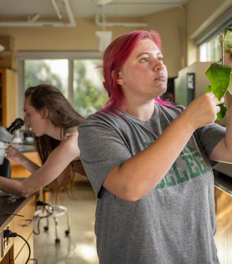 A student is examining a plant while a student in the background looks through a microscope 