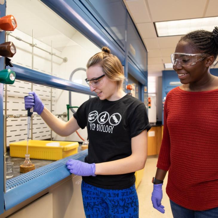 Students in Lab