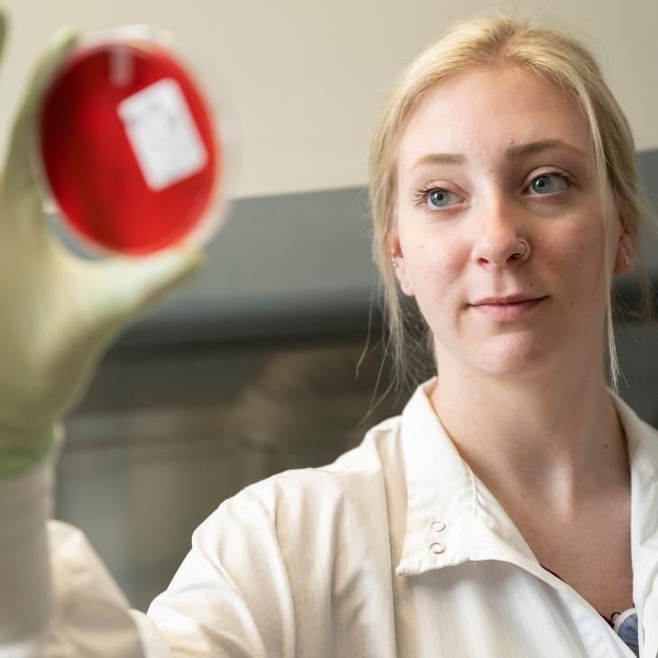 A student holding up and examining a petri dish.