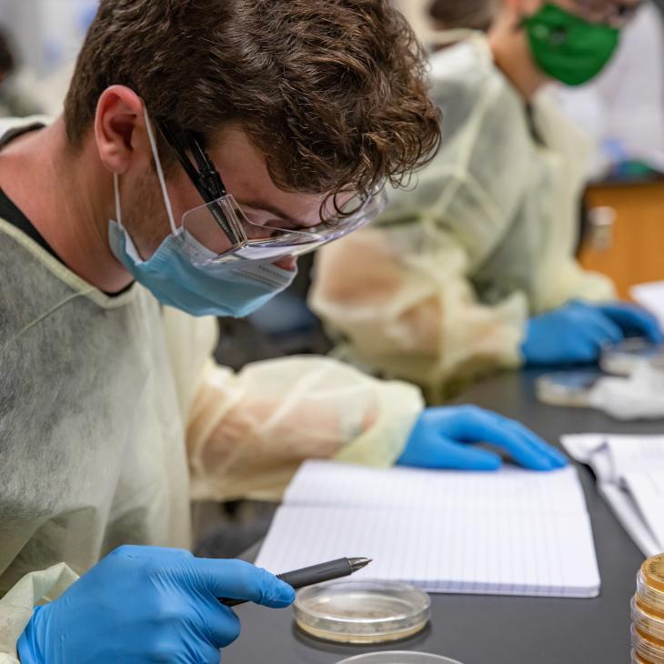 A student examines three petri dishes in a lab class.