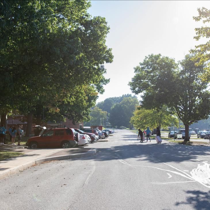 An entry road into campus is lined by parking spaces with parked cars.