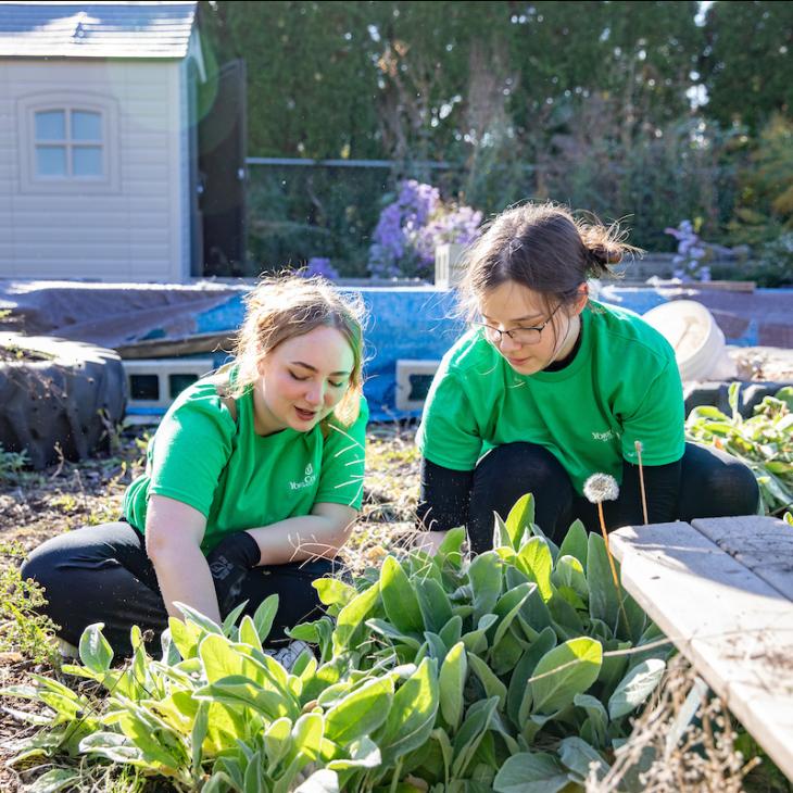 Two student volunteering in the York community.