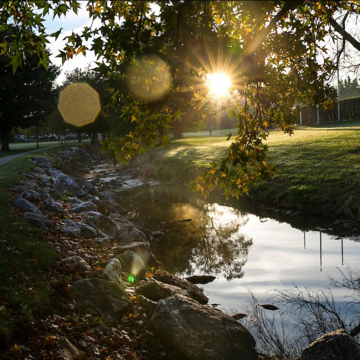 A sunset over the creek.