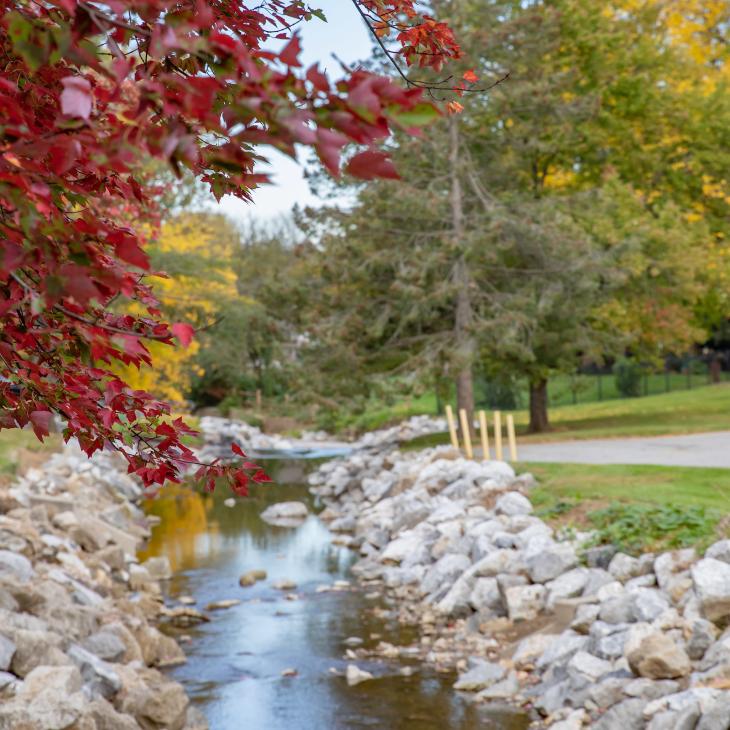 The Tyler Run Creek surrounded by fall foliage.