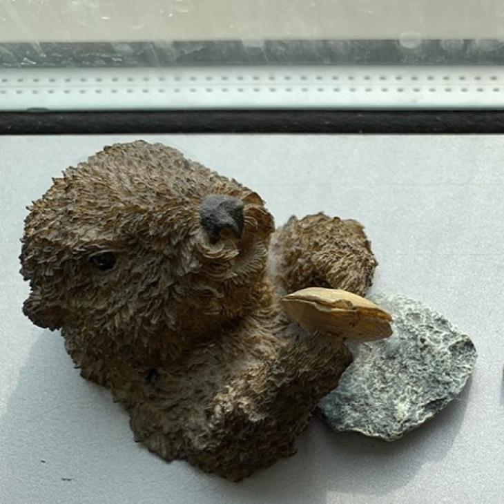 A sculpture of a sea otter on its back with flat stone on at its midsection holding some food item above the stone.
