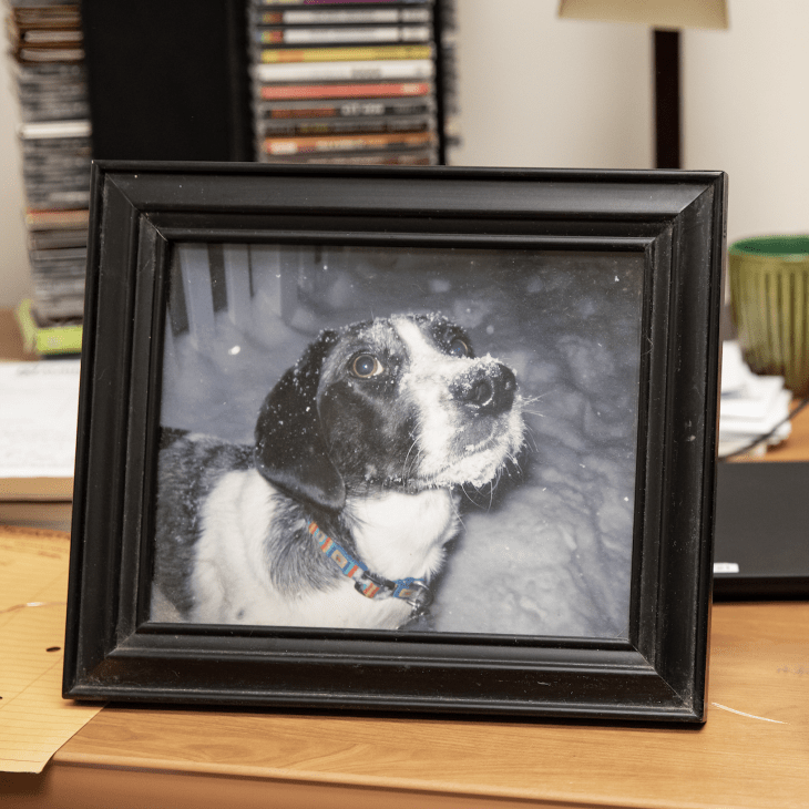 Photo of his dog, Mookie Wilson in a snowstorm.