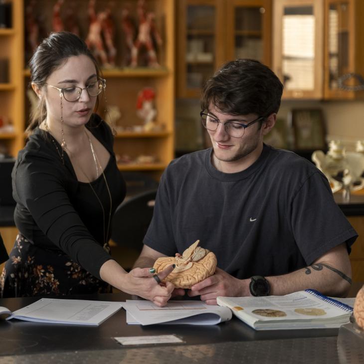 A student hold a model of a brain that a teacher points to