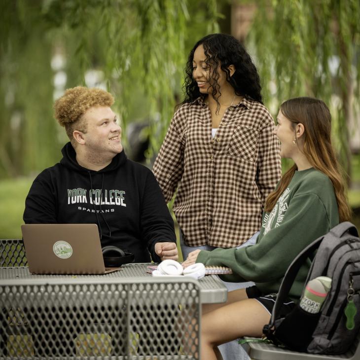 Two seated and one standing student at YCP talk to each other at a picnic table in front of greenery.