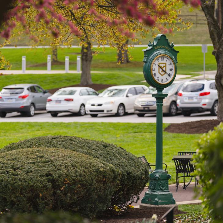 Green grass with a line of parked cars and a green clock.